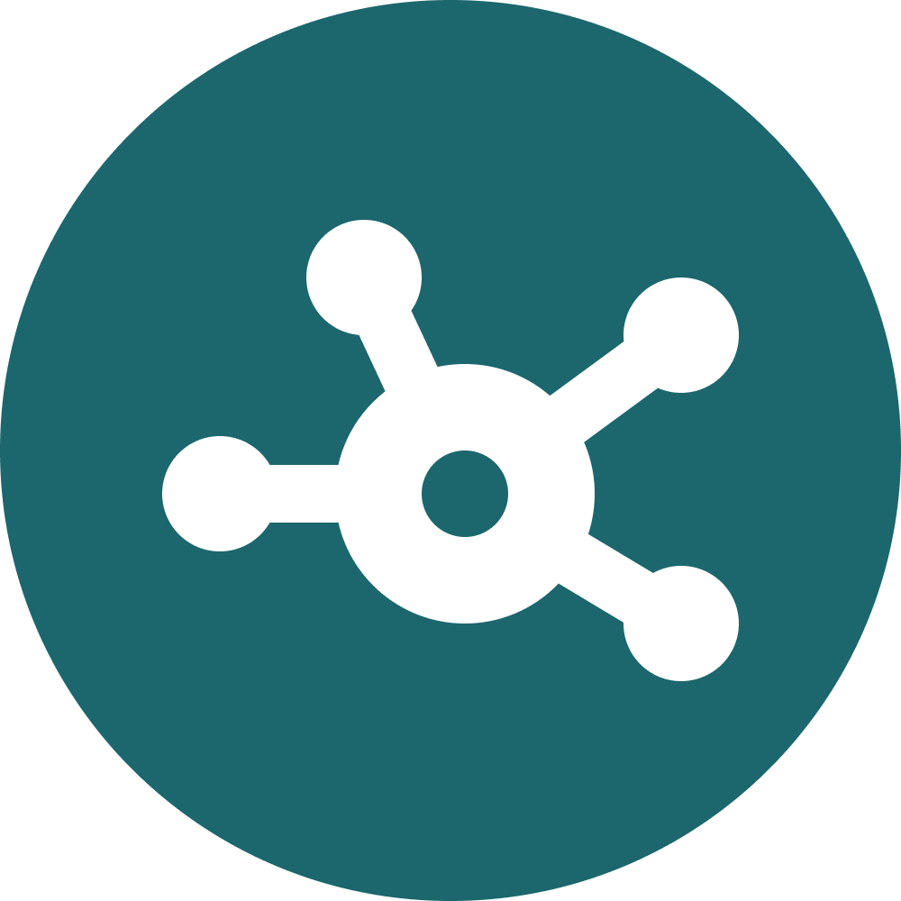 Network icon